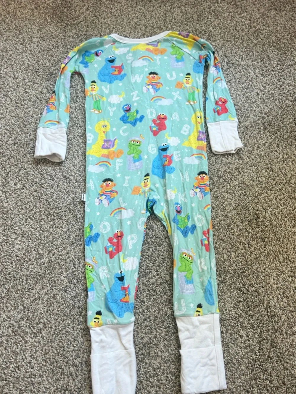Little Sleepies Sesame Street Zippy